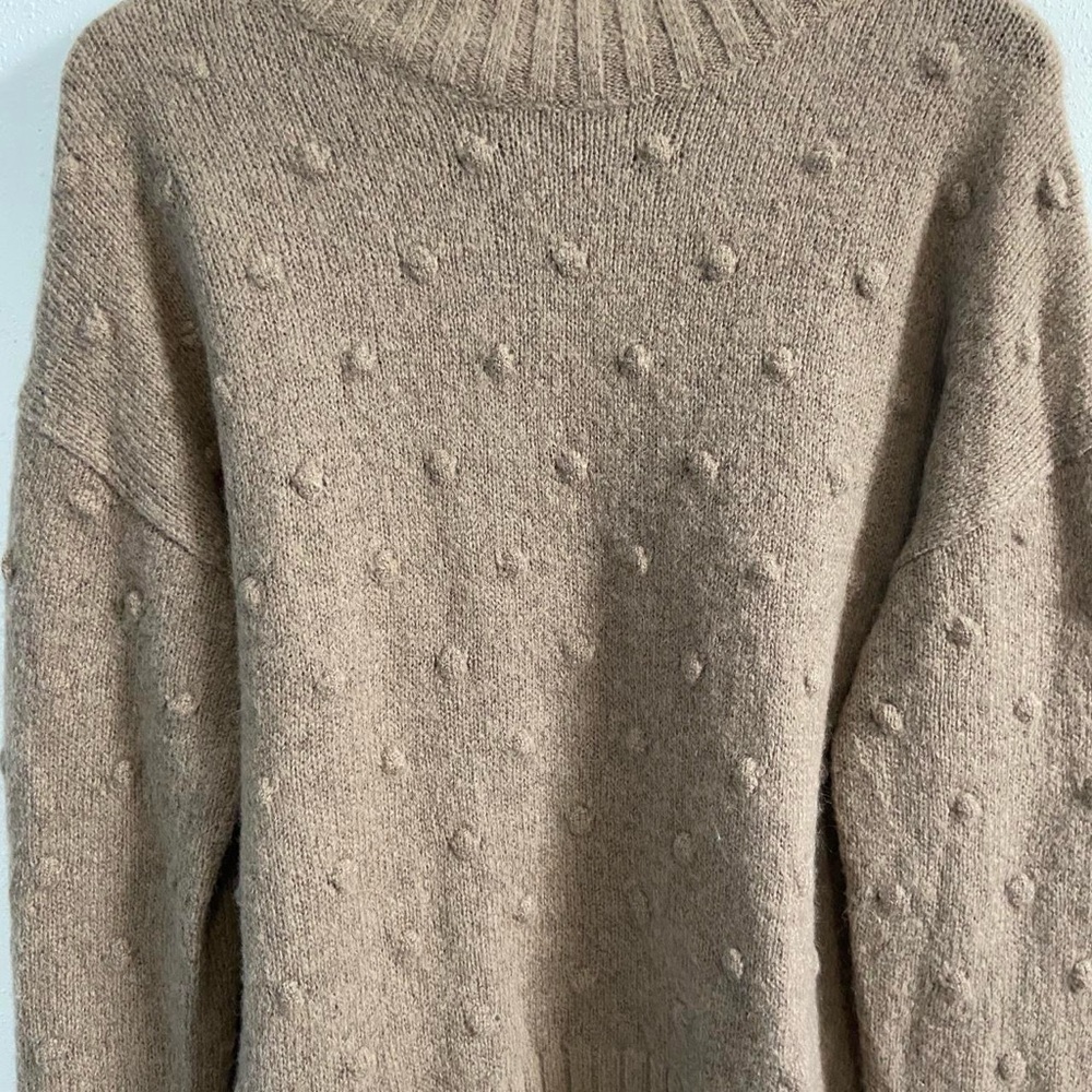 Everlane The Alpaca Pom-pom Turtleneck Sweater - Picture 5 of 8